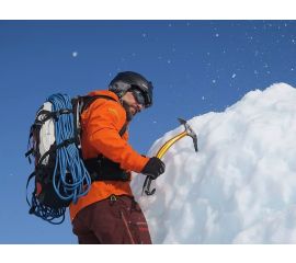 Petzl