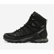 Ботинки L40463000 SHOES X ULTRA TREK GTX Black/Bk/Magnet Salomon